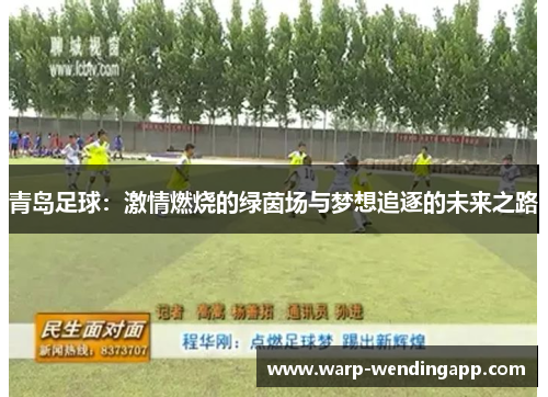 青岛足球：激情燃烧的绿茵场与梦想追逐的未来之路
