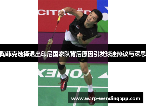 陶菲克选择退出印尼国家队背后原因引发球迷热议与深思