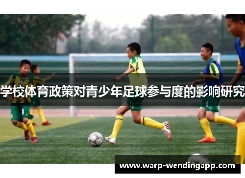 学校体育政策对青少年足球参与度的影响研究