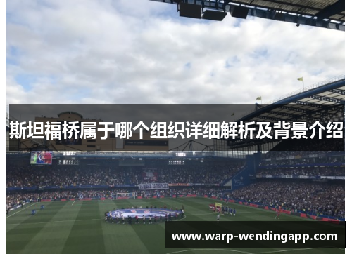斯坦福桥属于哪个组织详细解析及背景介绍 斯坦福桥属于哪个组织详细解析及背景介绍