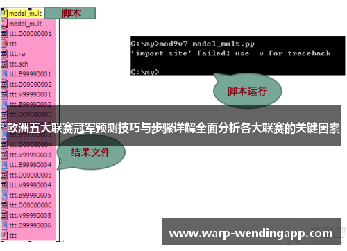 欧洲五大联赛冠军预测技巧与步骤详解全面分析各大联赛的关键因素