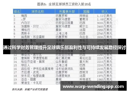 通过科学财务管理提升足球俱乐部盈利性与可持续发展路径探讨