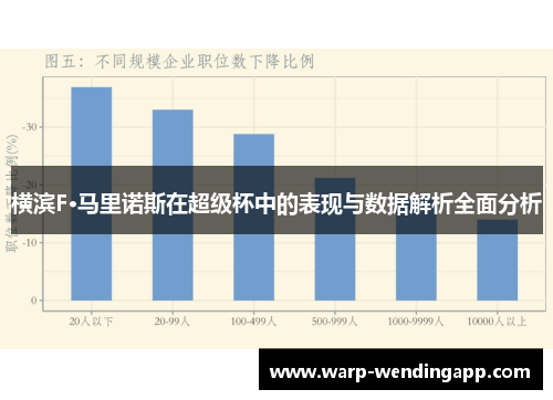 横滨F·马里诺斯在超级杯中的表现与数据解析全面分析