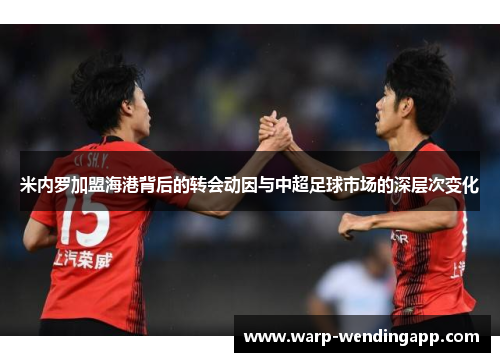 米内罗加盟海港背后的转会动因与中超足球市场的深层次变化 米内罗加盟海港背后的转会动因与中超足球市场的深层次变化