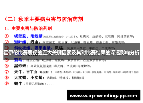 霍伊伦比赛表现的五大关键因素及其对比赛结果的深远影响分析 霍伊伦比赛表现的五大关键因素及其对比赛结果的深远影响分析