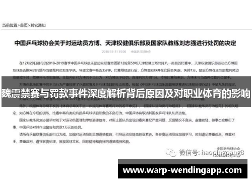 魏震禁赛与罚款事件深度解析背后原因及对职业体育的影响 魏震禁赛与罚款事件深度解析背后原因及对职业体育的影响