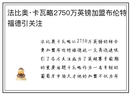 法比奥·卡瓦略2750万英镑加盟布伦特福德引关注